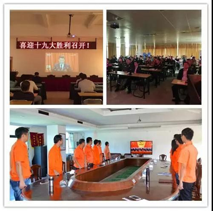 yl23455(й)ɷ޹˾